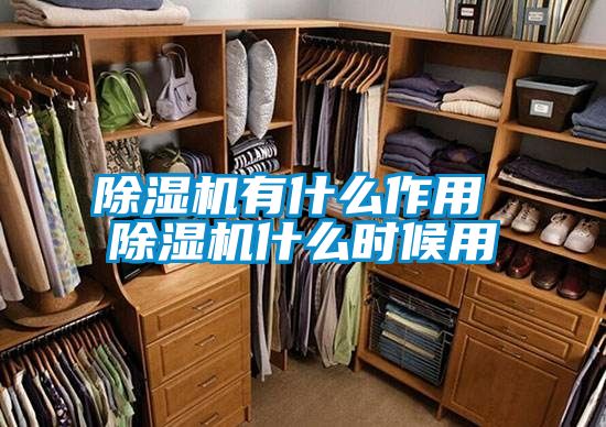除湿机有什么作用 除湿机什么时候用