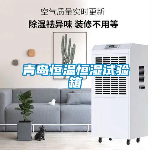 青岛恒温恒湿试验箱