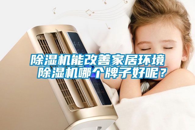 除湿机能改善家居环境 除湿机哪个牌子好呢？