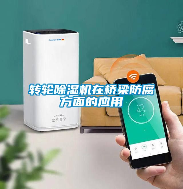 转轮除湿机在桥梁防腐方面的应用