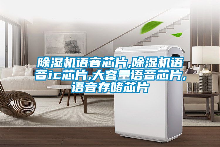 除湿机语音芯片,除湿机语音ic芯片,大容量语音芯片,语音存储芯片
