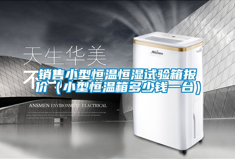 销售小型恒温恒湿试验箱报价（小型恒温箱多少钱一台）