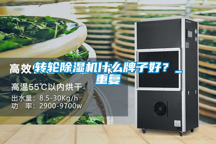 转轮除湿机什么牌子好？_重复