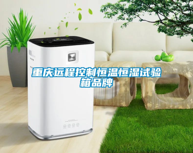 重庆远程控制恒温恒湿试验箱品牌