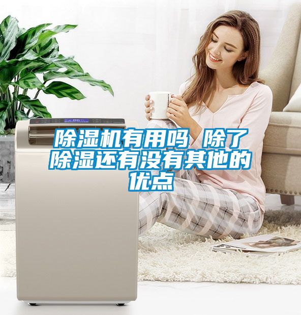 除湿机有用吗 除了除湿还有没有其他的优点