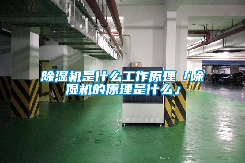 除湿机是什么工作原理「除湿机的原理是什么」