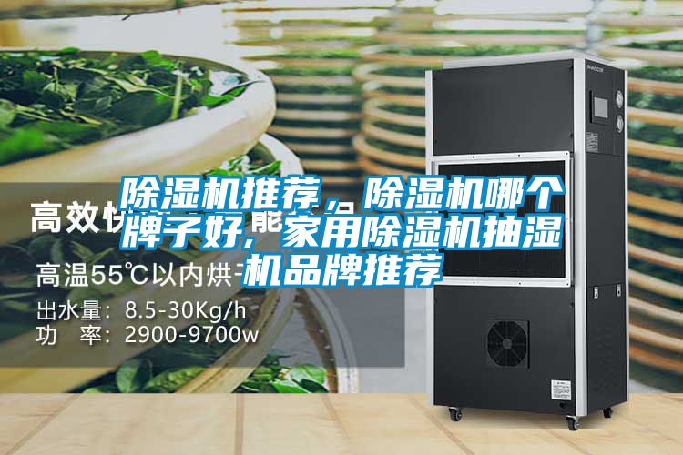 除湿机推荐，除湿机哪个牌子好, 家用除湿机抽湿机品牌推荐
