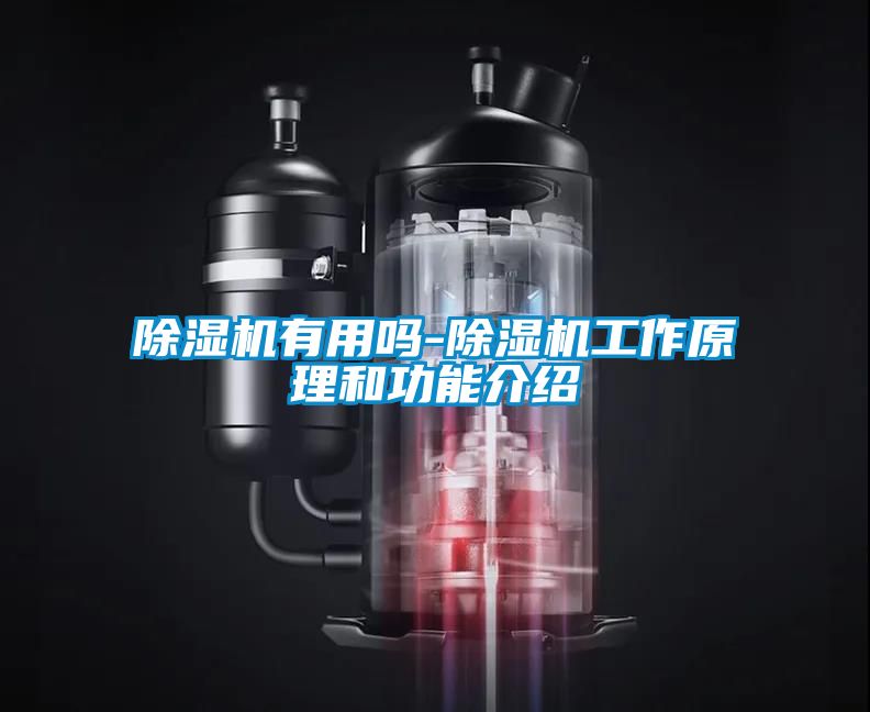 除湿机有用吗-除湿机工作原理和功能介绍