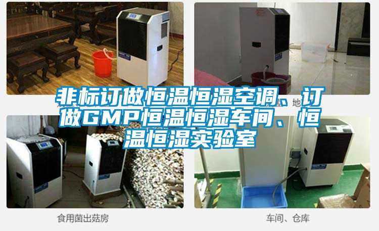 非标订做恒温恒湿空调、订做GMP恒温恒湿车间、恒温恒湿实验室