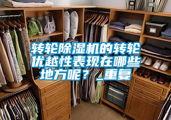 转轮除湿机的转轮优越性表现在哪些地方呢？_重复