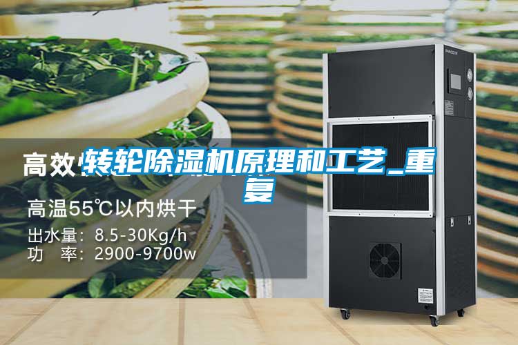 转轮除湿机原理和工艺_重复