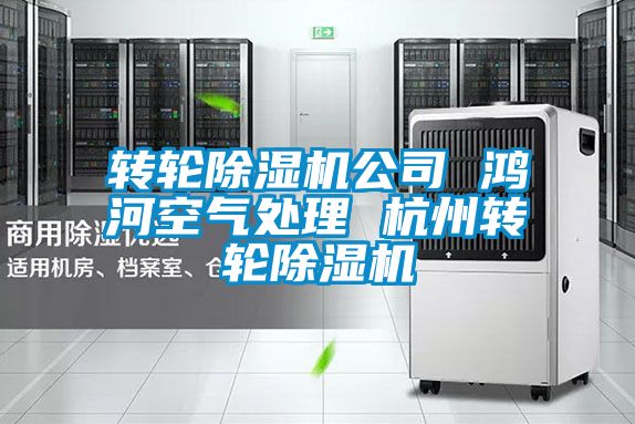 转轮除湿机公司 鸿河空气处理 杭州转轮除湿机