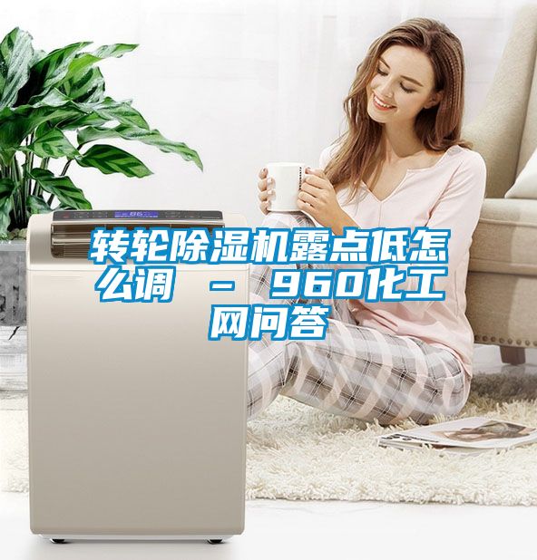 转轮除湿机露点低怎么调 – 960化工网问答