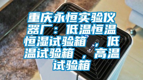 重庆永恒实验仪器厂：低温恒温恒湿试验箱 , 低温试验箱 , 高温试验箱