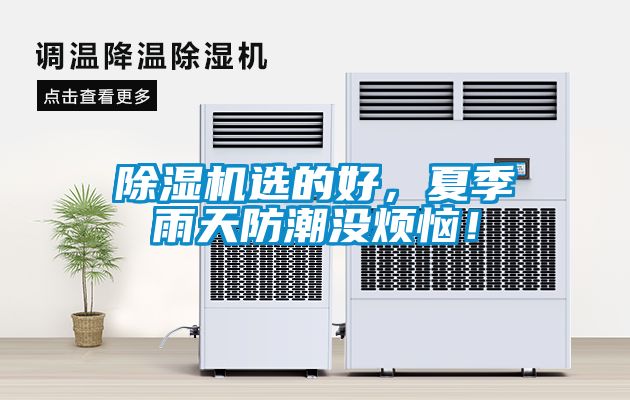 除湿机选的好，夏季雨天防潮没烦恼！
