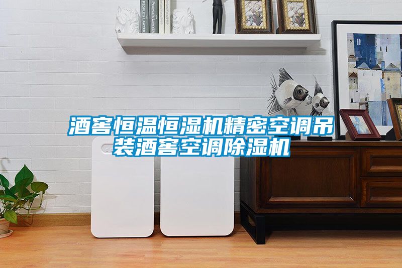 酒窖恒温恒湿机精密空调吊装酒窖空调除湿机