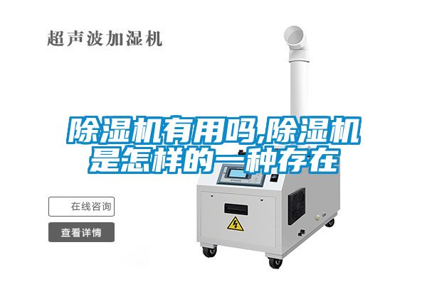 除湿机有用吗,除湿机是怎样的一种存在