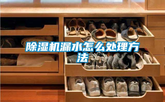 除湿机漏水怎么处理方法