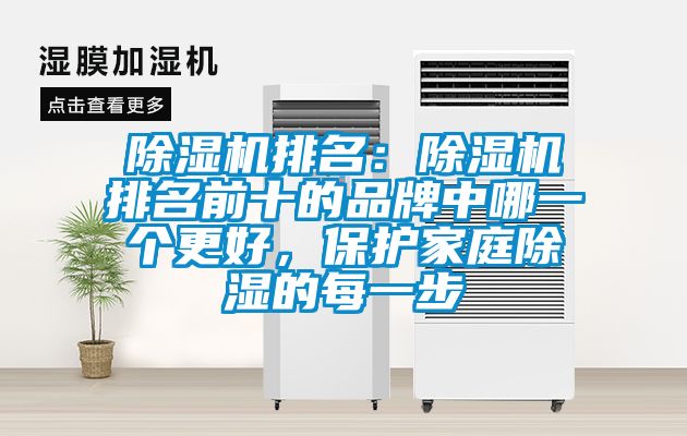 除湿机排名：除湿机排名前十的品牌中哪一个更好，保护家庭除湿的每一步
