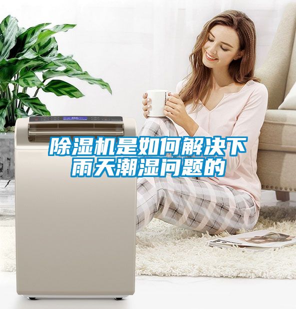 除湿机是如何解决下雨天潮湿问题的