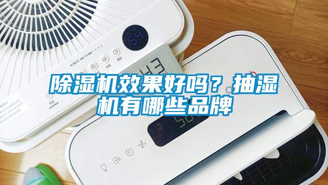 除湿机效果好吗？抽湿机有哪些品牌