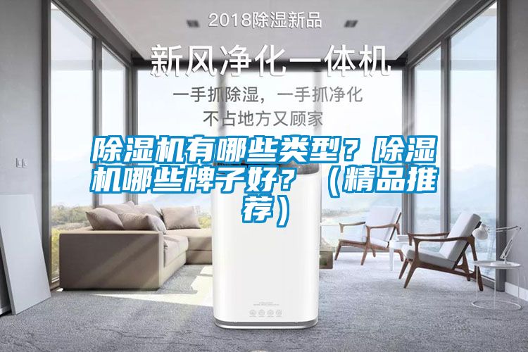 除湿机有哪些类型？除湿机哪些牌子好？（精品推荐）