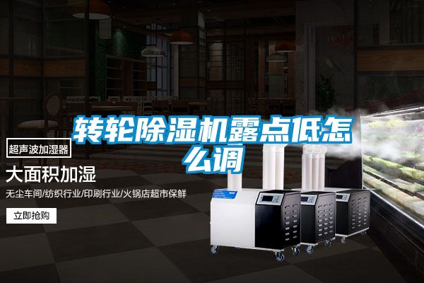 转轮除湿机露点低怎么调