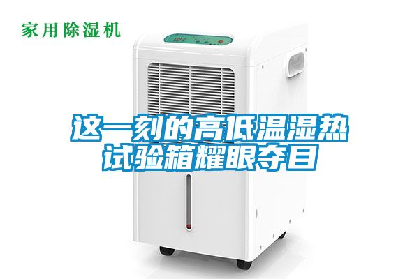 这一刻的高低温湿热试验箱耀眼夺目