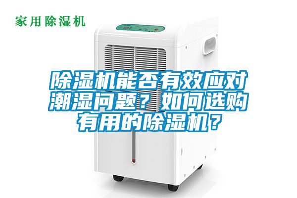 除湿机能否有效应对潮湿问题？如何选购有用的除湿机？