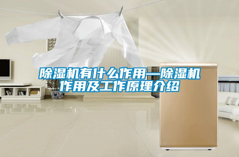 除湿机有什么作用—除湿机作用及工作原理介绍