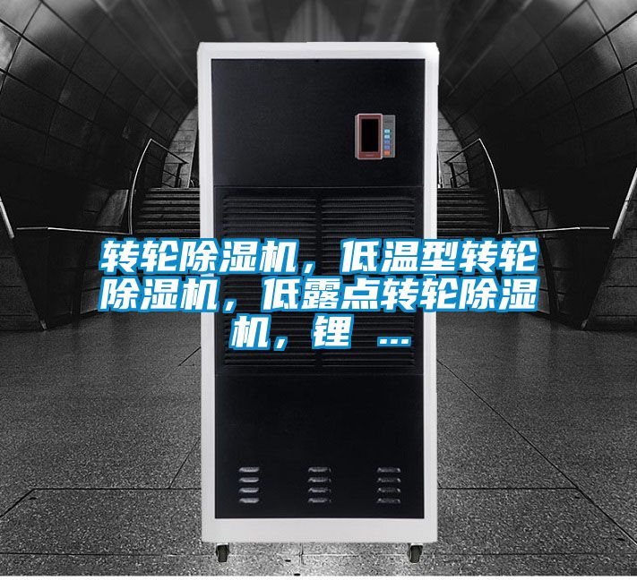 转轮除湿机，低温型转轮除湿机，低露点转轮除湿机，锂 ...