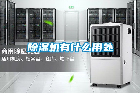 除湿机有什么用处
