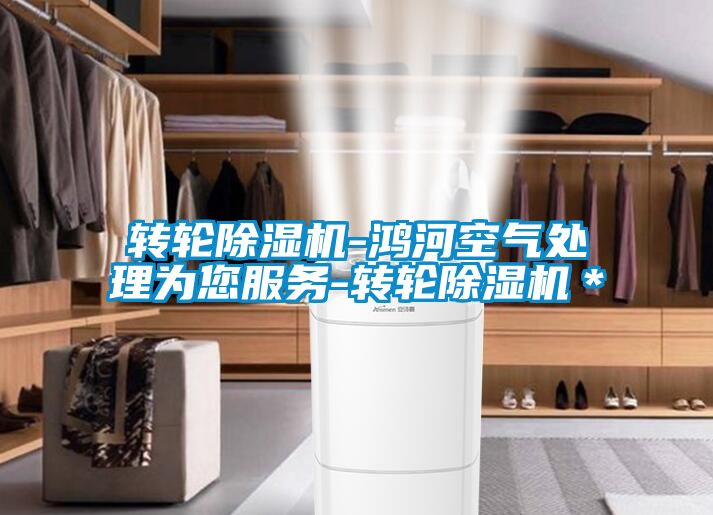 转轮除湿机-鸿河空气处理为您服务-转轮除湿机＊