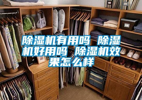除湿机有用吗 除湿机好用吗 除湿机效果怎么样