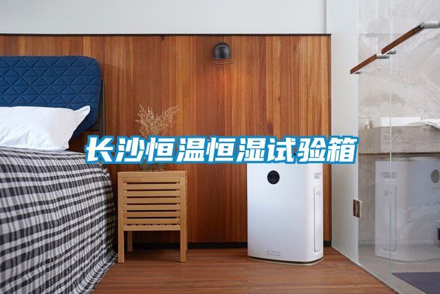 长沙恒温恒湿试验箱