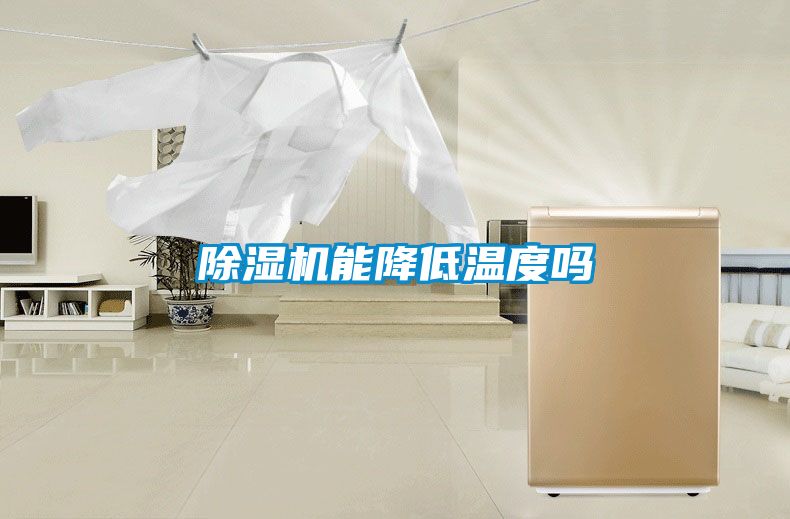 除湿机能降低温度吗