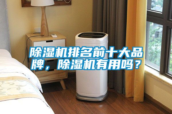 除湿机排名前十大品牌，除湿机有用吗？