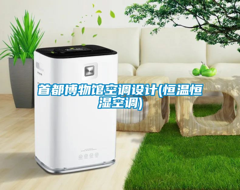 首都博物馆空调设计(恒温恒湿空调)