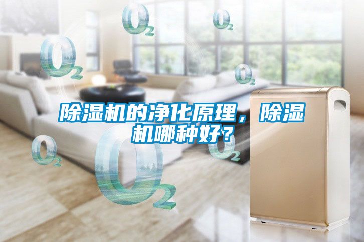 除湿机的净化原理，除湿机哪种好？