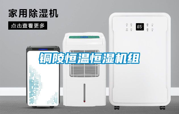铜陵恒温恒湿机组