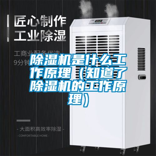 除湿机是什么工作原理（知道了除湿机的工作原理）