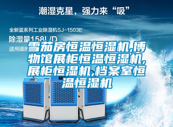 雪茄房恒温恒湿机,博物馆展柜恒温恒湿机,展柜恒湿机,档案室恒温恒湿机