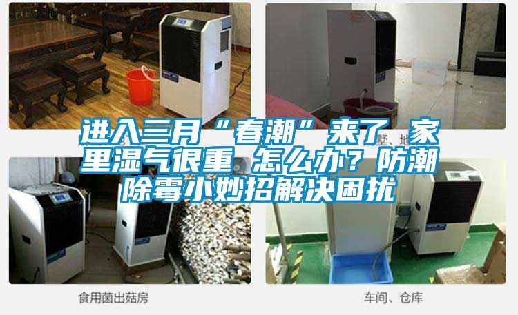 进入三月“春潮”来了 家里湿气很重 怎么办？防潮除霉小妙招解决困扰