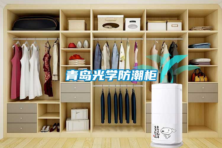 青岛光学防潮柜