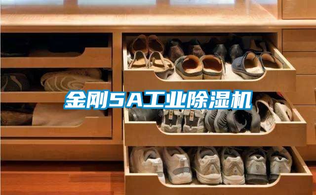 金刚5A工业除湿机