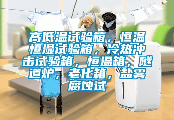 高低温试验箱，恒温恒湿试验箱，冷热冲击试验箱，恒温箱，隧道炉，老化箱，盐雾腐蚀试
