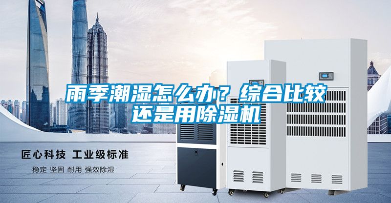 雨季潮湿怎么办？综合比较还是用除湿机
