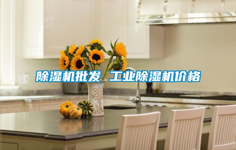 除湿机批发 工业除湿机价格