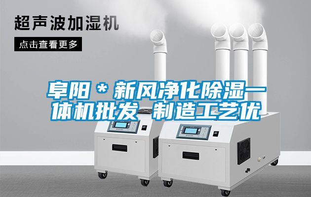 阜阳＊新风净化除湿一体机批发 制造工艺优