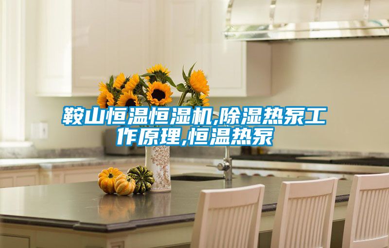 鞍山恒温恒湿机,除湿热泵工作原理,恒温热泵